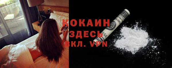 тгк Арсеньев
