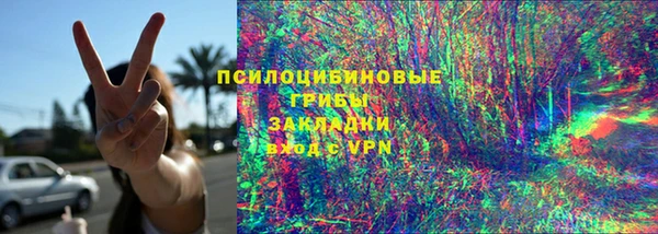 шишки Аркадак